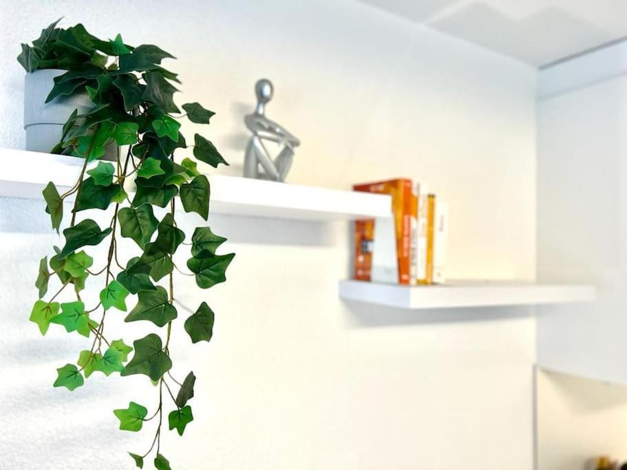 Casa Ambizione Daire Dietikon Dış mekan fotoğraf